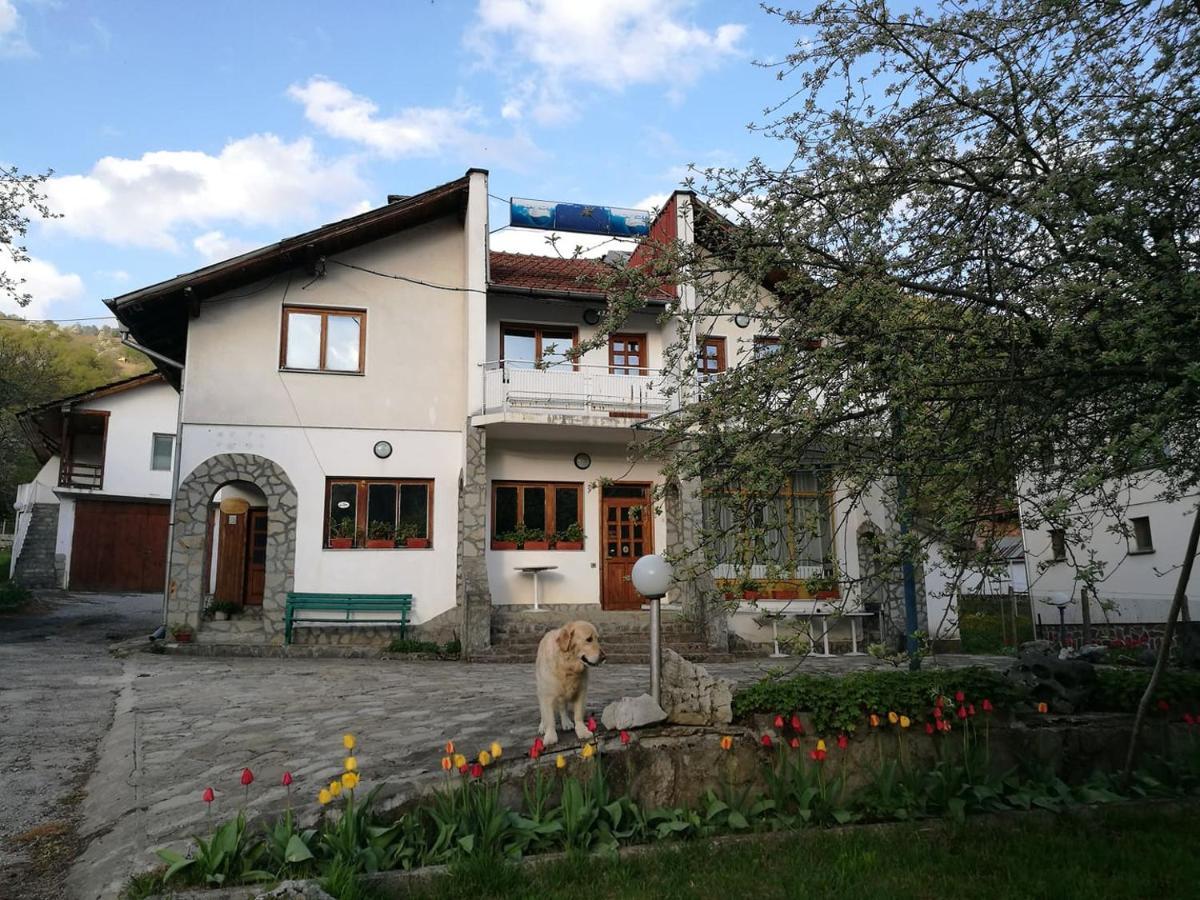 Самостоятелни Стаи В Къща За Гости Балкан Ribaritsa Exterior foto