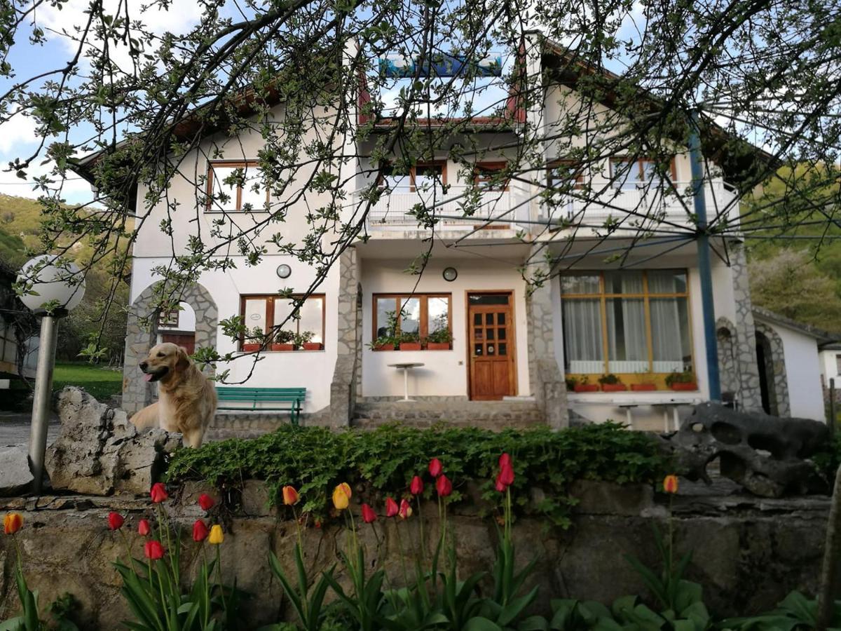 Самостоятелни Стаи В Къща За Гости Балкан Ribaritsa Exterior foto