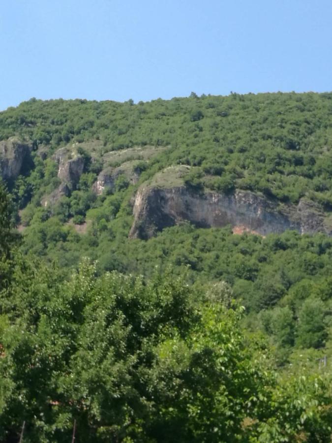 Самостоятелни Стаи В Къща За Гости Балкан Ribaritsa Exterior foto